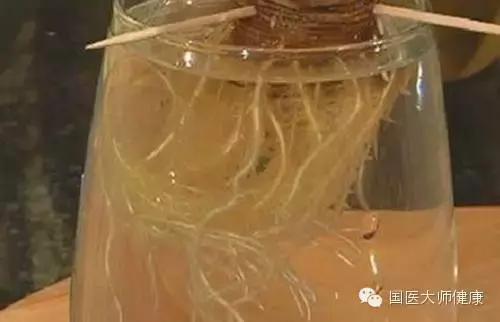 當你切鳳梨時「千萬記得不要把頂花丟掉」！90%的人不知道它的超神奇的用途