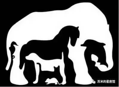 【圖像測驗】圖中你第一眼看到的是哪種動物？秒測出你的脾氣與個性！
