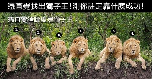 【測驗】準到會閃尿！憑直覺找出獅子王，測你注定靠什麼成功！