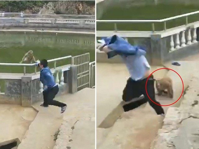 男子開心「推猴子下水」自以為幽默！幾秒後猴子「暴風式逆襲」讓他完蛋了！