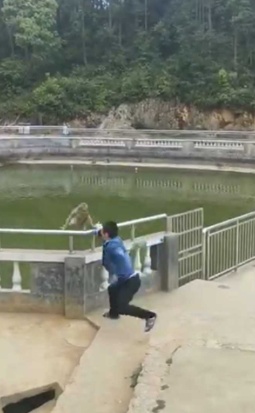 男子開心「推猴子下水」自以為幽默！幾秒後猴子「暴風式逆襲」讓他完蛋了！