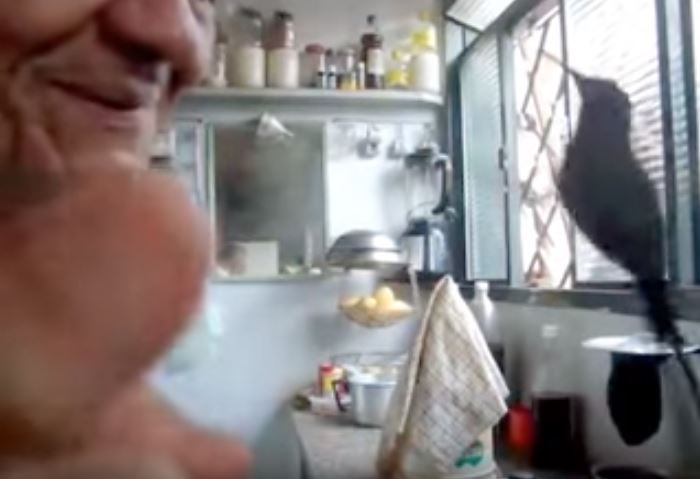 獨居阿公閒著沒事「在後院種樹兼賞鳥」，有天「一對母子來到他窗前...」結局暖哭所有人！