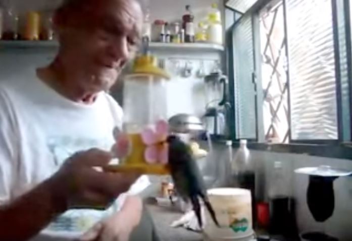 獨居阿公閒著沒事「在後院種樹兼賞鳥」，有天「一對母子來到他窗前...」結局暖哭所有人！