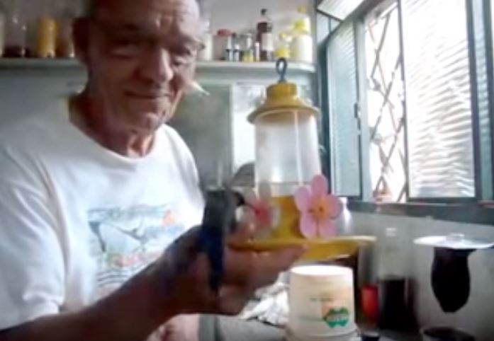 獨居阿公閒著沒事「在後院種樹兼賞鳥」，有天「一對母子來到他窗前...」結局暖哭所有人！