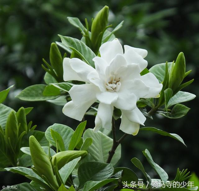 臨近婚期「男方家卻突然破產」，男友問我「還嫁嗎？」我毫不猶豫的「答覆」讓他哭了...