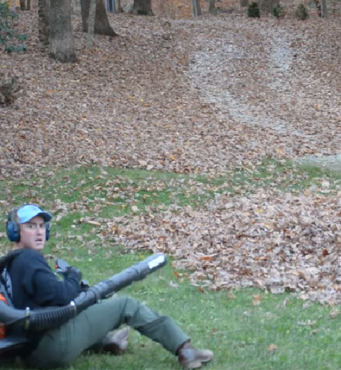 爸爸清掃落葉「裡面傳出怪聲」！　吹散後「小怪物亂叫衝出」讓他嚇到腿軟