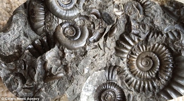 他10歲時「撿了一顆怪石頭回家」！35年後「石頭出現一道裂痕」他一掰開嗨翻尖叫：是寶藏