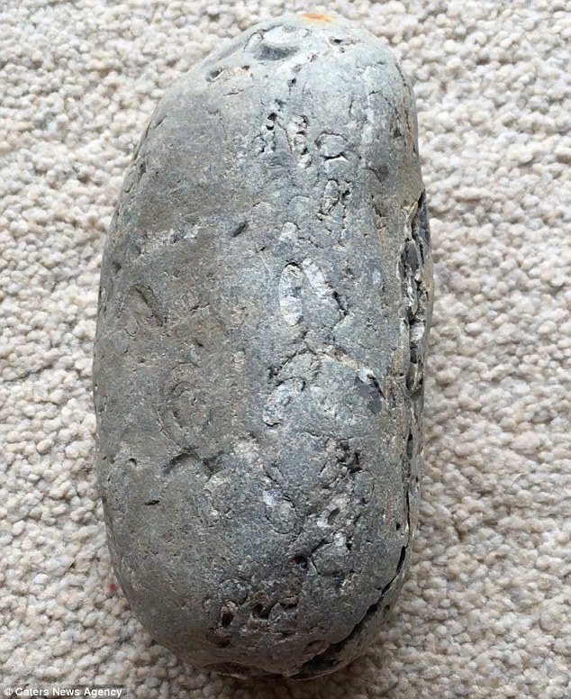 他10歲時「撿了一顆怪石頭回家」！35年後「石頭出現一道裂痕」他一掰開嗨翻尖叫：是寶藏