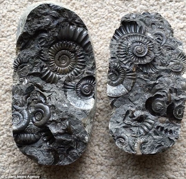 他10歲時「撿了一顆怪石頭回家」！35年後「石頭出現一道裂痕」他一掰開嗨翻尖叫：是寶藏