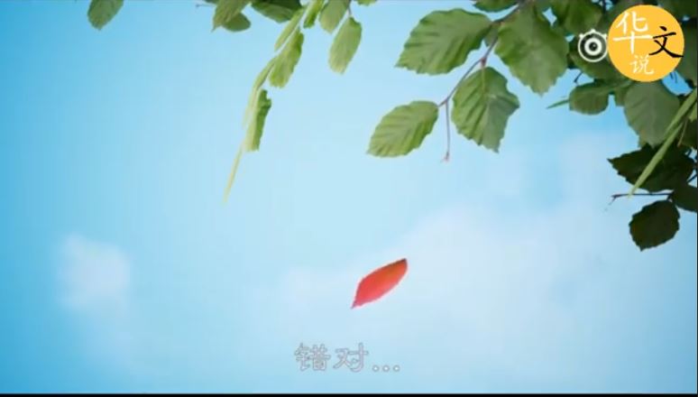 「以前不合適的，就再也不會合適了嗎？」老師父用落葉神譬喻萬人秒懂其中道理！