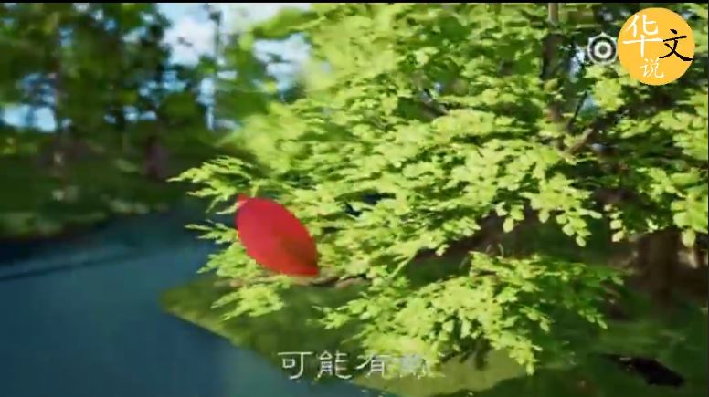 「以前不合適的，就再也不會合適了嗎？」老師父用落葉神譬喻萬人秒懂其中道理！