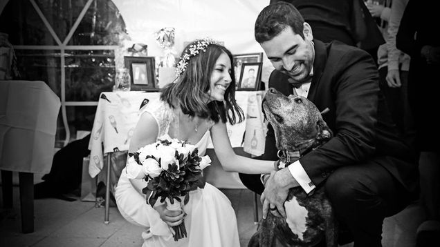 男友找來所有親友「浪漫求婚」她感動說Yes！　才剛答應「2小時後人生發生巨變」全場爆淚