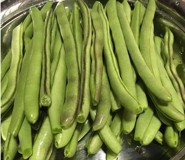 「四季豆」好吃卻難煮，教你一招  四季豆怎麼炒都好吃