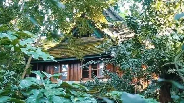 不忍地球被破壞！夫妻倆「決定帶女兒隱居森林」　從0開始「成功造出1331萬坪雨林」聯合國狂讚