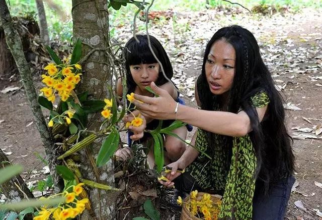 不忍地球被破壞！夫妻倆「決定帶女兒隱居森林」　從0開始「成功造出1331萬坪雨林」聯合國狂讚