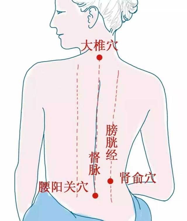 背薄一寸，命長十年！一套「養背操」幫你強健脊背，告別背痛