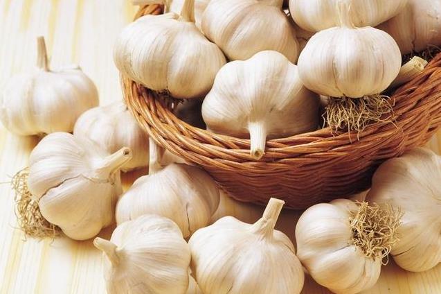 家裡蟑螂太多怎麼辦？試試這個土方法「只需2瓣大蒜」家裡蟑螂一鍋端