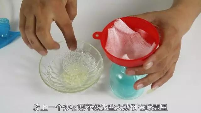 家裡蟑螂太多怎麼辦？試試這個土方法「只需2瓣大蒜」家裡蟑螂一鍋端