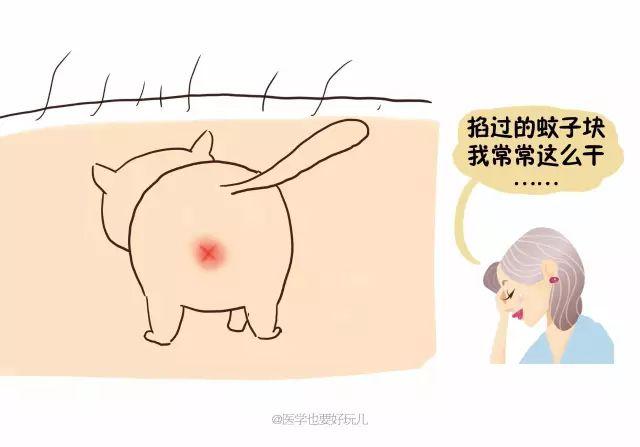 「一關燈就出現，一開燈就消失」原來蚊子竟知道你睡了沒有！