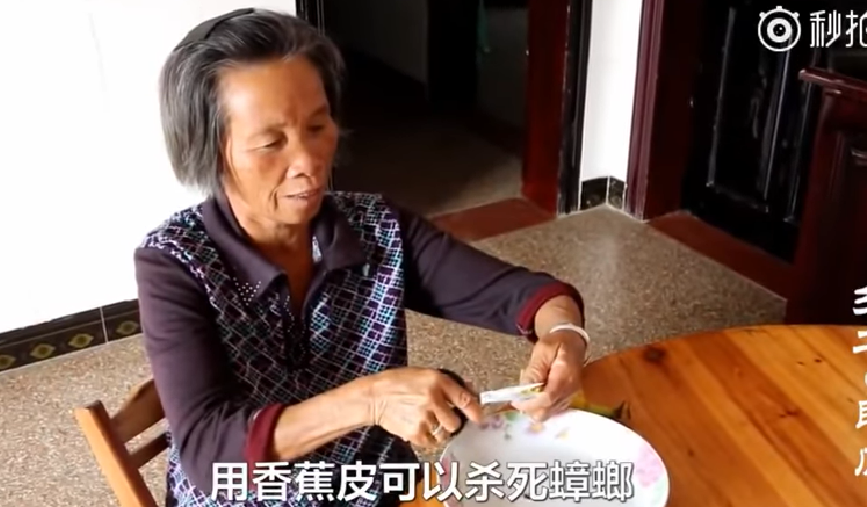 阿婆教你做「蟑螂聚寶盆」超簡單4步驟！廚房隨便放「幾天後只剩空殼」比除蟲劑還讚