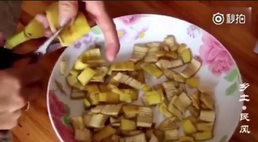 阿婆教你做「蟑螂聚寶盆」超簡單4步驟！廚房隨便放「幾天後只剩空殼」比除蟲劑還讚