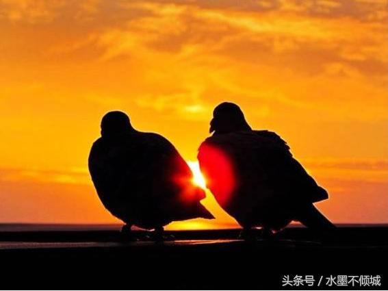 母親給四位兒子的遺書：謝謝你們照顧我，但我後悔生下了你們 