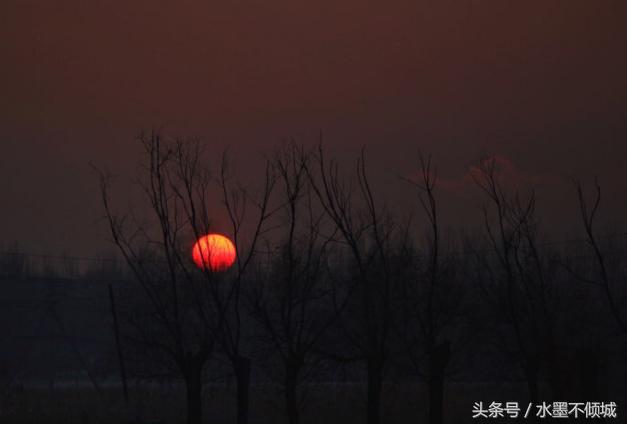 母親給四位兒子的遺書：謝謝你們照顧我，但我後悔生下了你們 