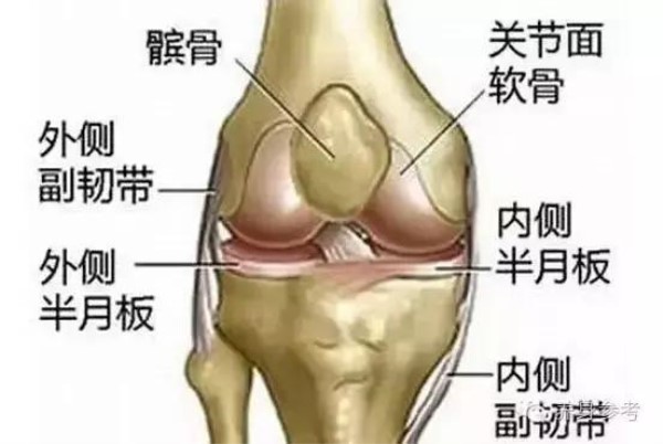 腰骨「膝蓋骨疼痛」有救了！家有腰腿疼痛的人，也要記得收藏起來