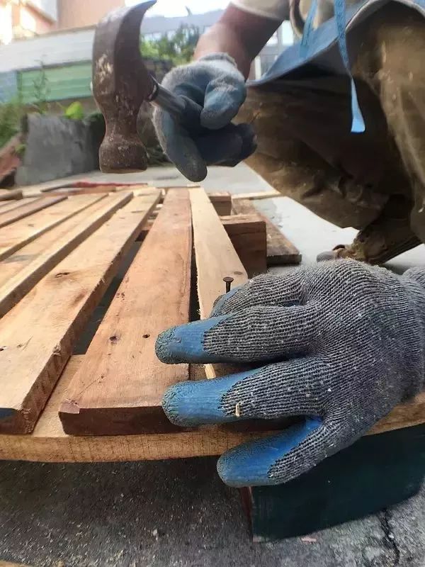 她30歲「不工作、沒男友」靠垃圾改造36坪老舊房　隱居山林「活成仙女模樣」成果美得不像話