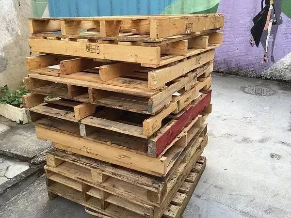 她30歲「不工作、沒男友」靠垃圾改造36坪老舊房　隱居山林「活成仙女模樣」成果美得不像話