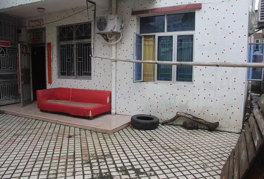 她30歲「不工作、沒男友」靠垃圾改造36坪老舊房　隱居山林「活成仙女模樣」成果美得不像話