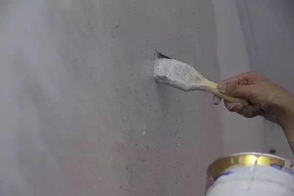 她30歲「不工作、沒男友」靠垃圾改造36坪老舊房　隱居山林「活成仙女模樣」成果美得不像話