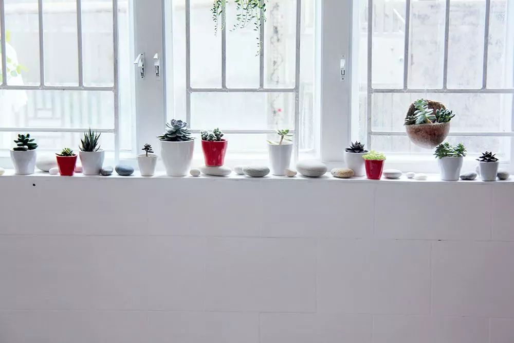 她30歲「不工作、沒男友」靠垃圾改造36坪老舊房　隱居山林「活成仙女模樣」成果美得不像話