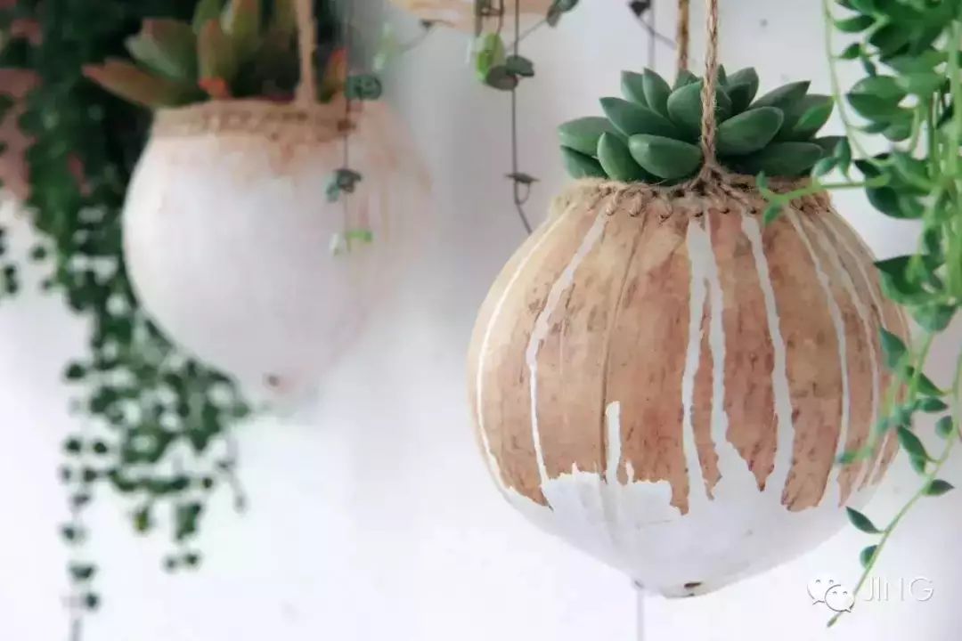 她30歲「不工作、沒男友」靠垃圾改造36坪老舊房　隱居山林「活成仙女模樣」成果美得不像話