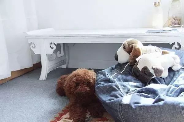 她30歲「不工作、沒男友」靠垃圾改造36坪老舊房　隱居山林「活成仙女模樣」成果美得不像話