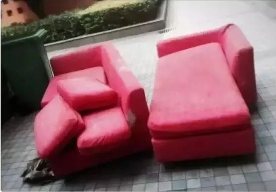 她30歲「不工作、沒男友」靠垃圾改造36坪老舊房　隱居山林「活成仙女模樣」成果美得不像話