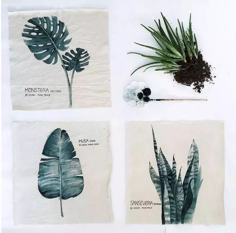 她30歲「不工作、沒男友」靠垃圾改造36坪老舊房　隱居山林「活成仙女模樣」成果美得不像話