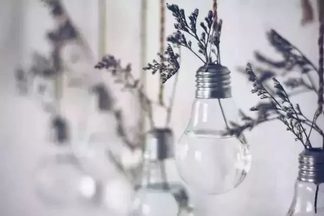 她30歲「不工作、沒男友」靠垃圾改造36坪老舊房　隱居山林「活成仙女模樣」成果美得不像話