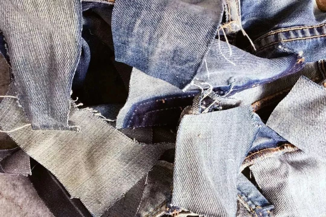 她30歲「不工作、沒男友」靠垃圾改造36坪老舊房　隱居山林「活成仙女模樣」成果美得不像話