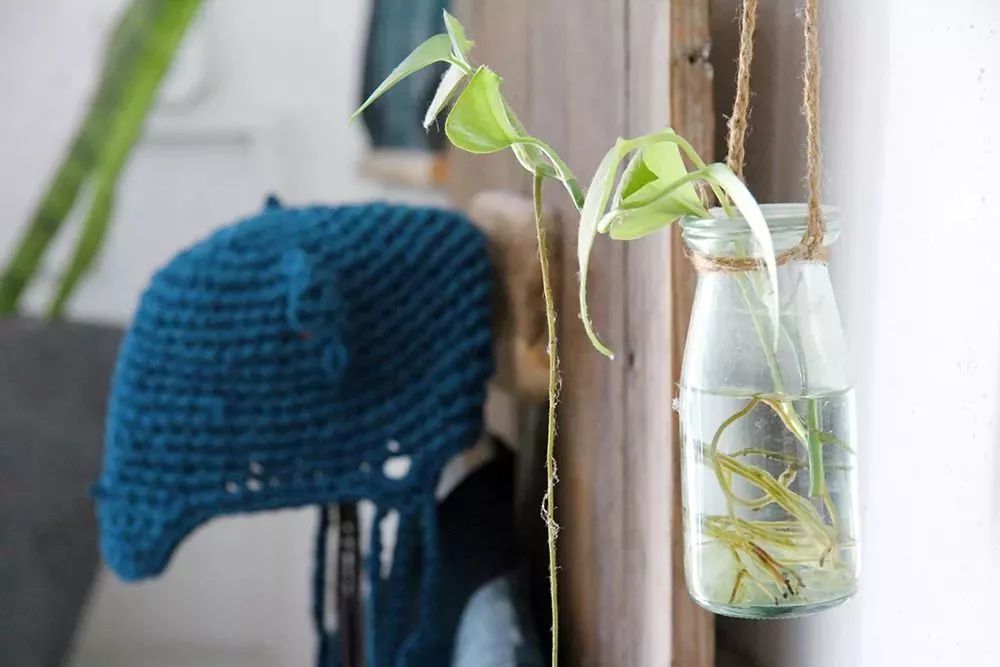 她30歲「不工作、沒男友」靠垃圾改造36坪老舊房　隱居山林「活成仙女模樣」成果美得不像話