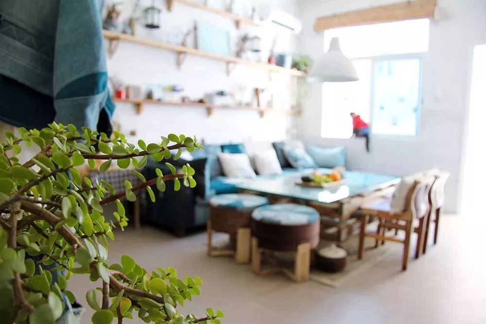 她30歲「不工作、沒男友」靠垃圾改造36坪老舊房　隱居山林「活成仙女模樣」成果美得不像話