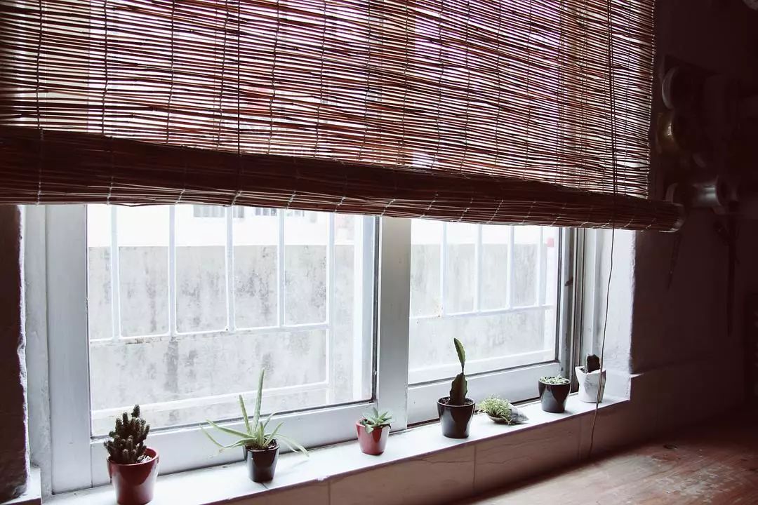 她30歲「不工作、沒男友」靠垃圾改造36坪老舊房　隱居山林「活成仙女模樣」成果美得不像話