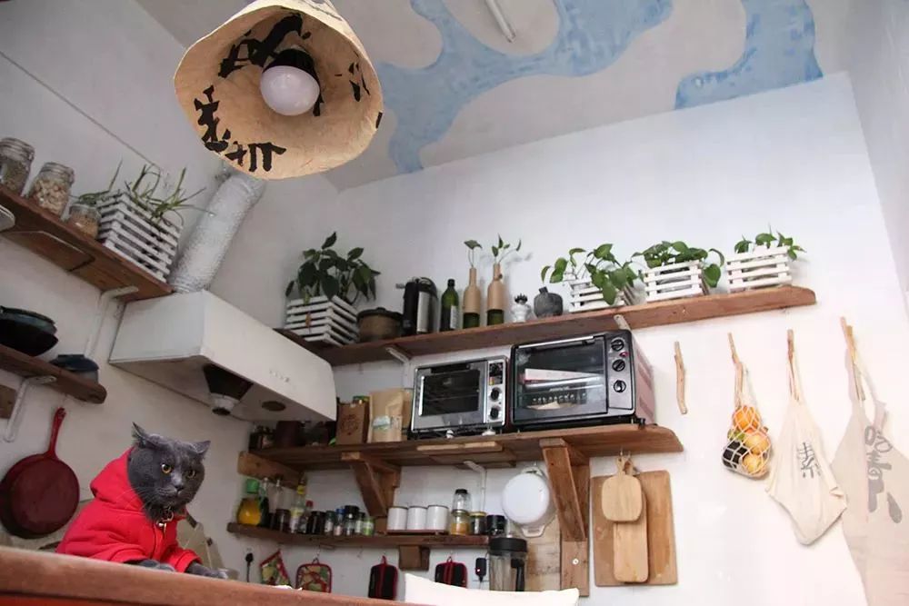 她30歲「不工作、沒男友」靠垃圾改造36坪老舊房　隱居山林「活成仙女模樣」成果美得不像話