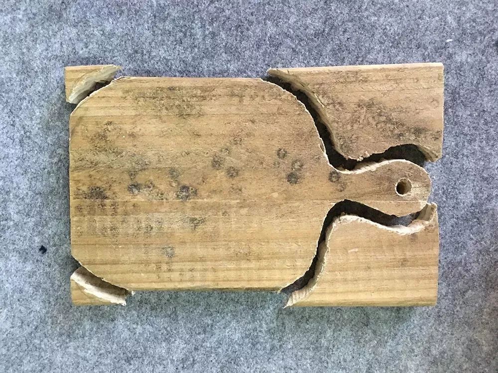 她30歲「不工作、沒男友」靠垃圾改造36坪老舊房　隱居山林「活成仙女模樣」成果美得不像話