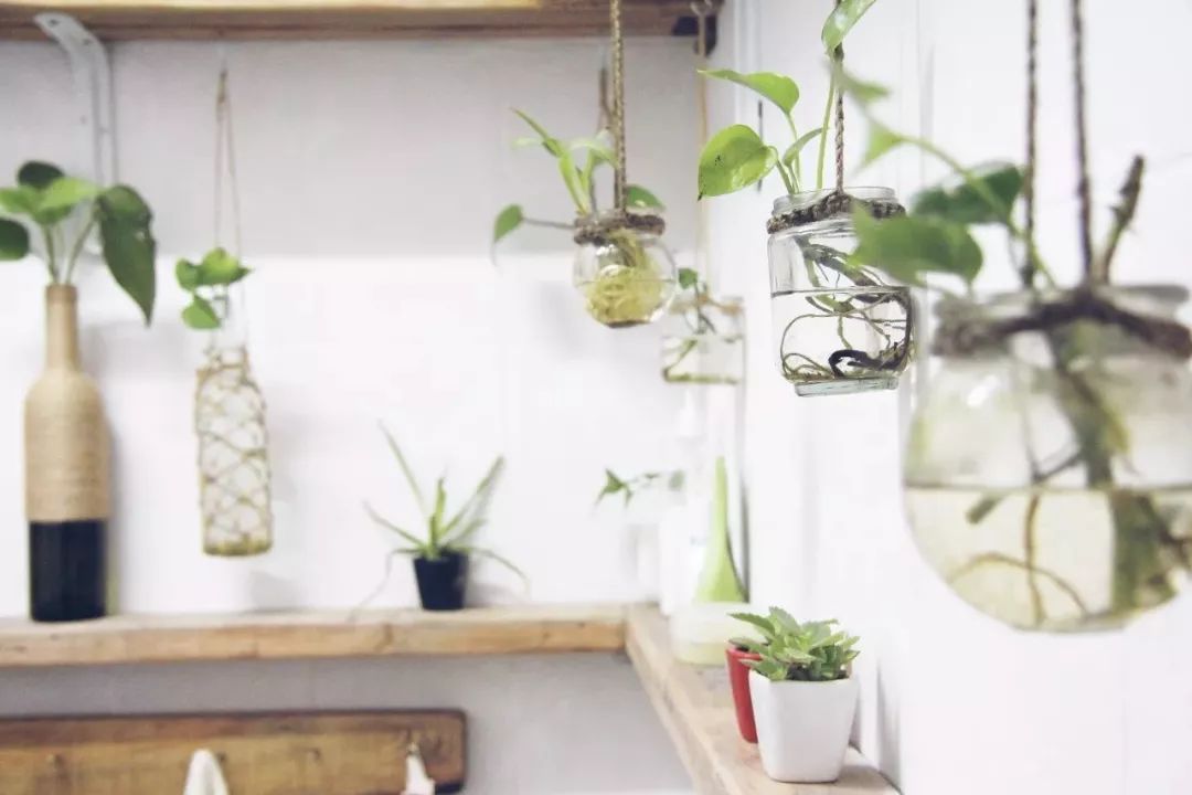 她30歲「不工作、沒男友」靠垃圾改造36坪老舊房　隱居山林「活成仙女模樣」成果美得不像話