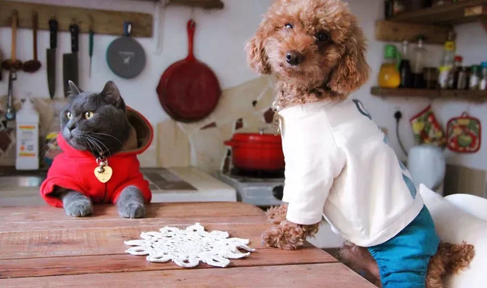 她30歲「不工作、沒男友」靠垃圾改造36坪老舊房　隱居山林「活成仙女模樣」成果美得不像話