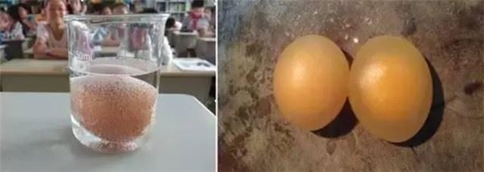 19歲華人女孩找出「分解塑膠」的天然方法　超猛演講「連比爾蓋茲也搶著聽」市值高達5千萬