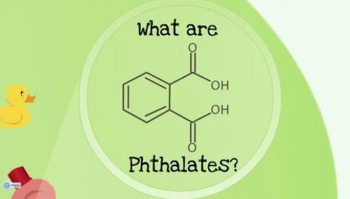 19歲華人女孩找出「分解塑膠」的天然方法　超猛演講「連比爾蓋茲也搶著聽」市值高達5千萬