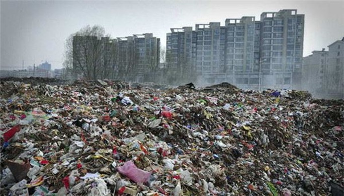 19歲華人女孩找出「分解塑膠」的天然方法　超猛演講「連比爾蓋茲也搶著聽」市值高達5千萬