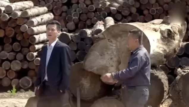 挑選木材時他「經過一眼」就看出問題！老闆直接拿出現金：你就是我要找的人